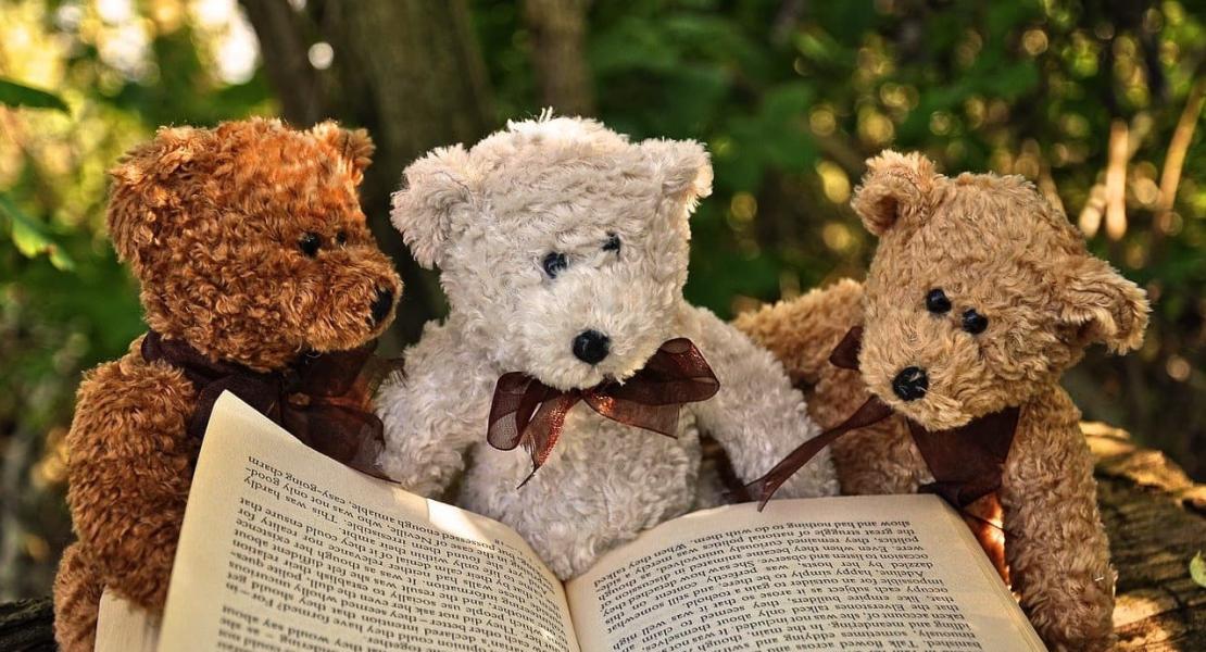 Histoires de jeunesse